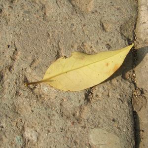 欧美在线视频网
