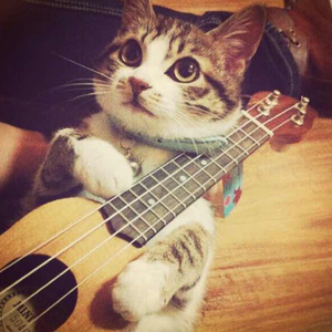 欧美在线视频网
